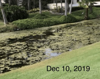 Lake - Before Nualgi