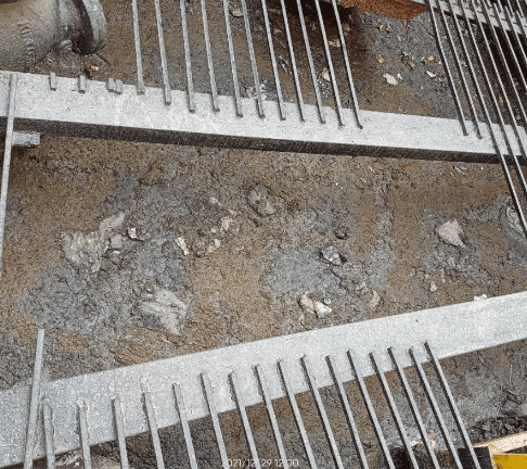 Day 0 Collection Tank