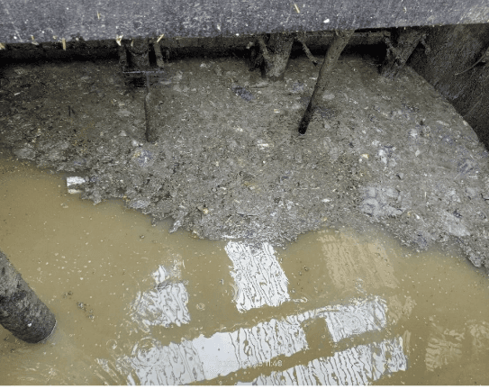 Day 35 Collection Tank