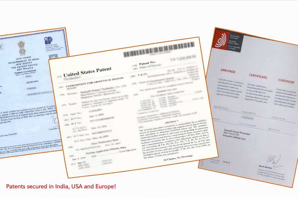 Nualgi&reg; Patents — India, USA and Europe