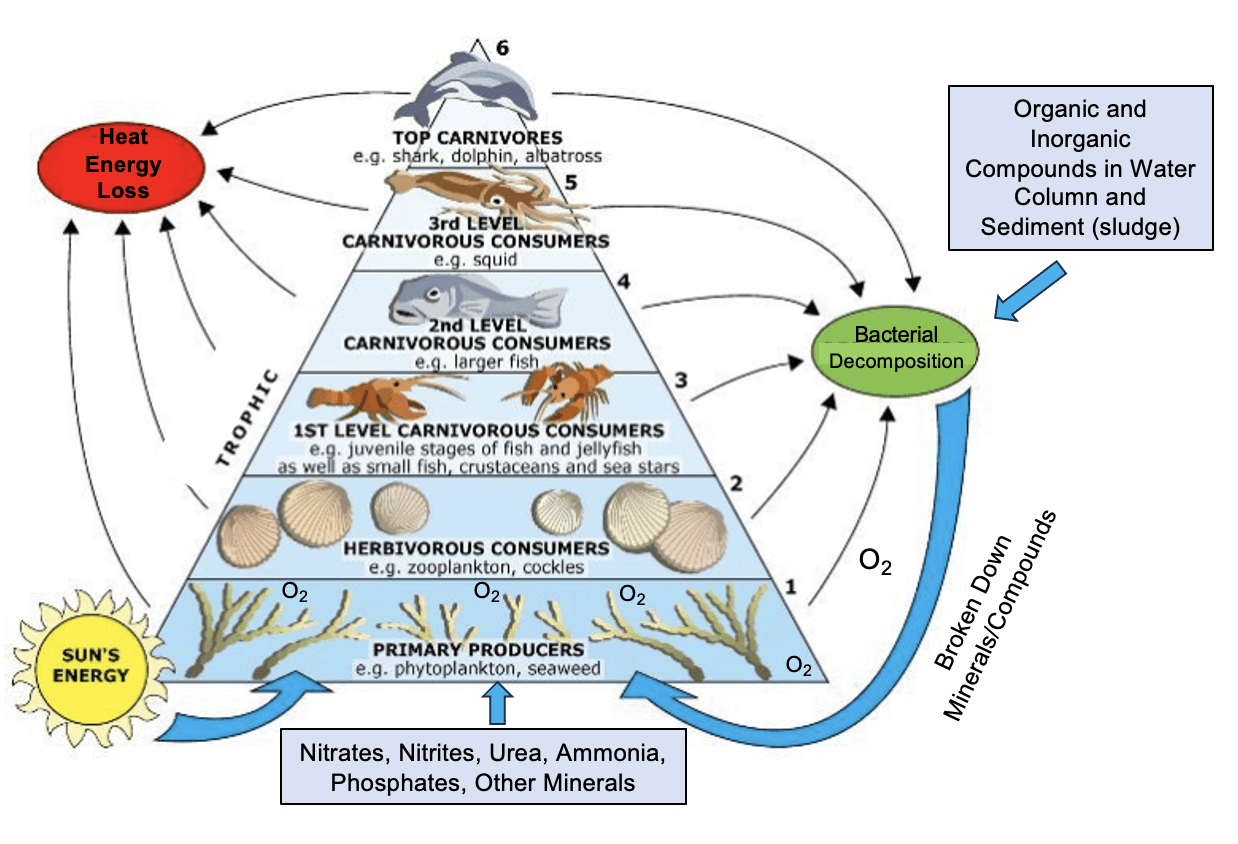 Science behind Nualgi water remediation